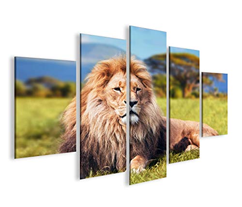 islandburner Bild Bilder auf Leinwand Löwe V2 König der Tiere Löwen MF XXL Poster Leinwandbild Wandb