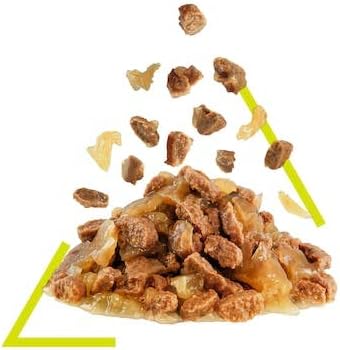 Royal Canin Sensory Smell Jelly | Doppelpack | 2 x 12 x 85 g | Nassfutter für ausgewachsene Katzen |
