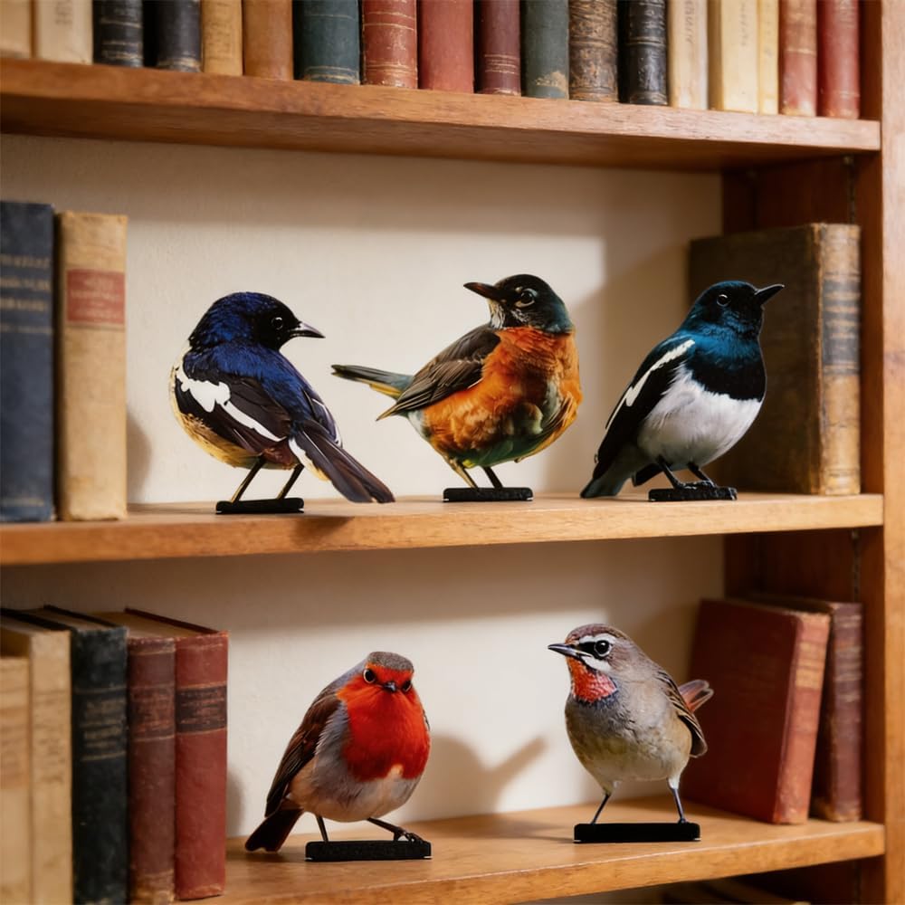 5 Stück Gartendeko Bemalte Vogel, Bunt Bemalte 2D Gartenkunst für draussen wetterfest, Vögel Gartens