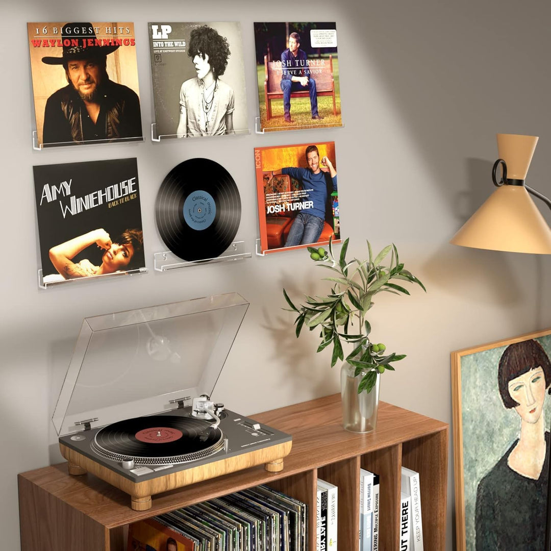 HIIMIEI Vinyl Wandhalterung 6 er für Platten und Fotos, 30,5 x 4,3 x 4,5 cm Schallplatten Wandhalter