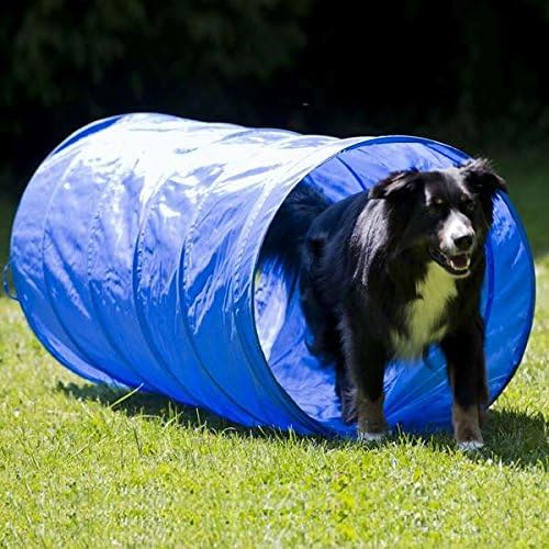Dog Agility Set K2