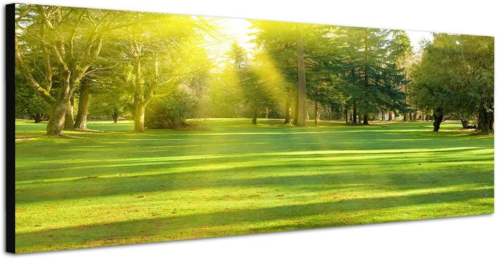Paul Sinus Art Panoramabild auf Leinwand und Keilrahmen 120x40cm Wiese Bäume Wald Sonnenstrahlen Frü