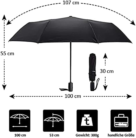 VON LILIENFELD Regenschirm Taschenschirm Stiefmütterchen Windfest Auf-Zu-Automatik Blumen Stabil Lei