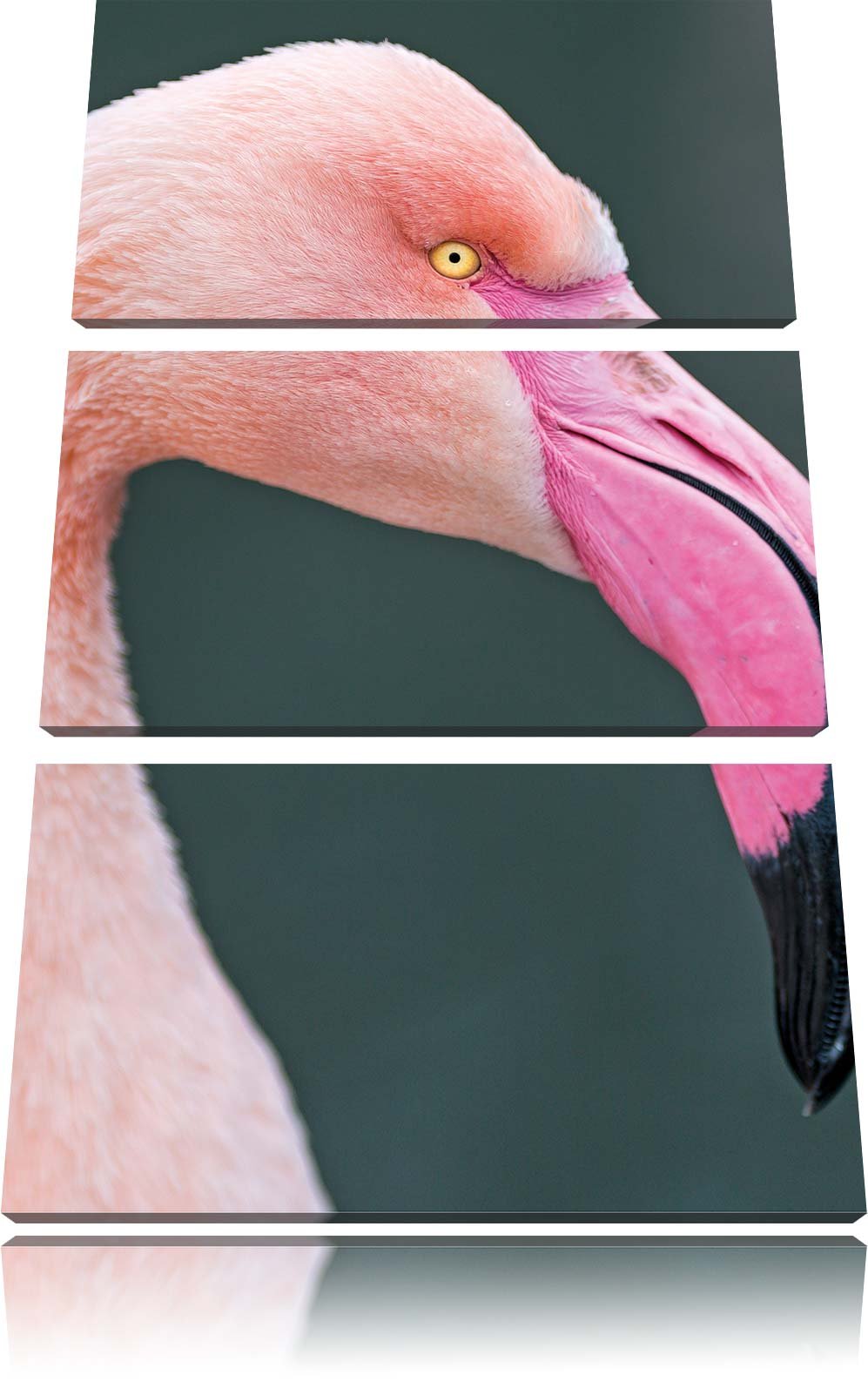 Pixxprint Flamingo im Seitenprofil 3-Teiler Leinwandbild 120x80 Bild auf Leinwand