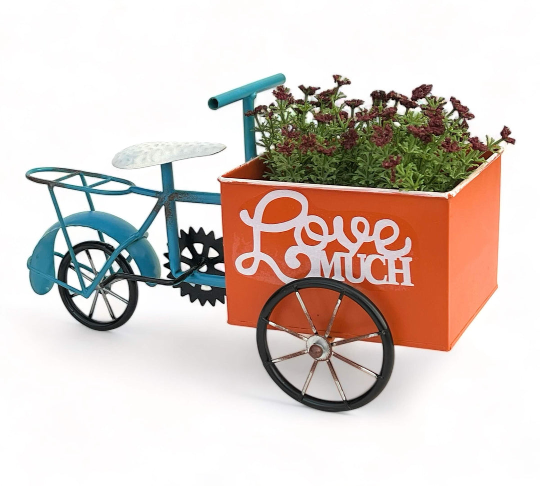 DanDiBo Blumenfahrrad für Garten Metall Stehend Fahrrad Blau Orange 96530 Pflanzfahrrad Dekofahrrad