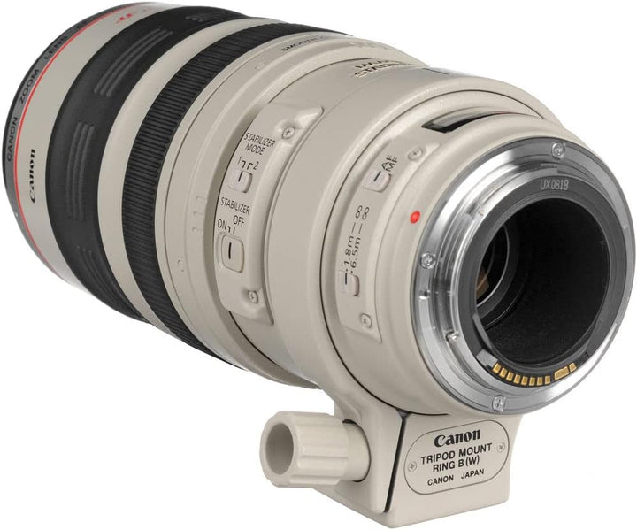 Canon EF 100-400mm f/4.5-5.6L IS USM
