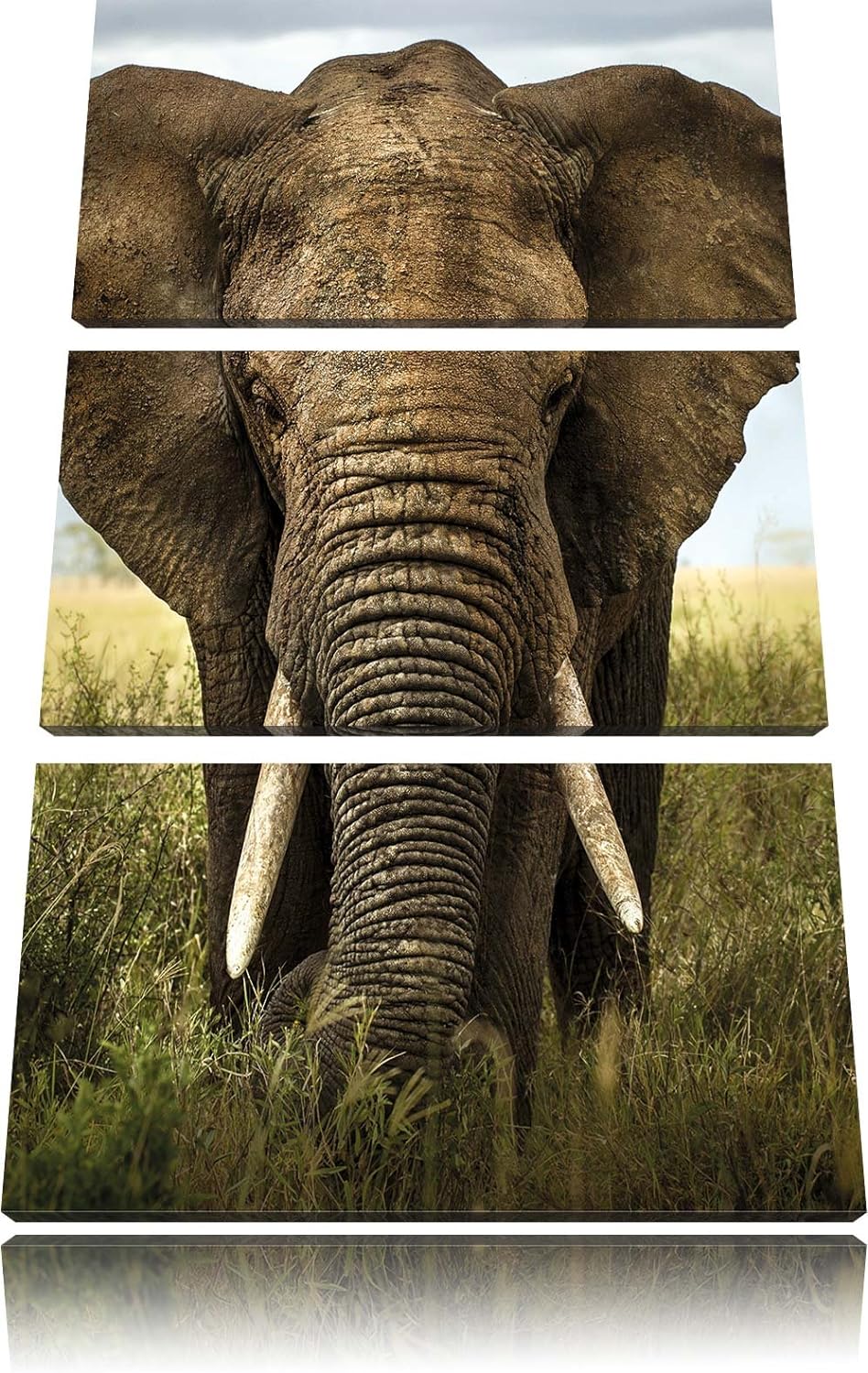 Pixxprint Imposanter Elefant als Leinwandbild/Grösse: 3 Teilig (120x80) cm/Wandbild/Kunstdruck/ferti