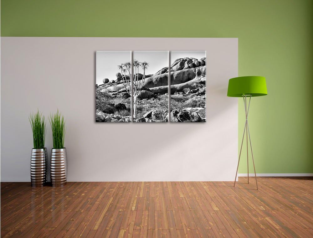 Pixxprint Monocrome, aussergewöhnlicher Baum im Steingebirge 3-Teiler Leinwandbild 120x80 Bild auf L