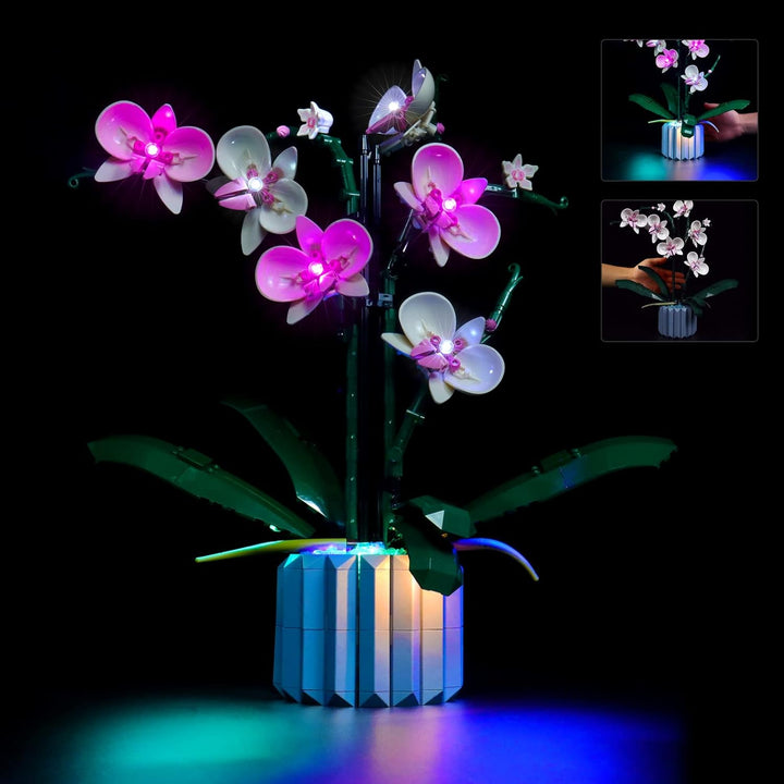 BrickBling Licht-Set Für Lego Orchidee Dekorations-LED-Licht-Set für Lego 10311 Orchidee Botanical C