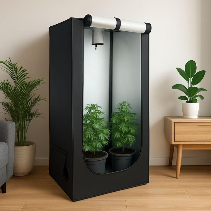 Weedness Grow Box für Indoor Zucht 60x60x160 – Lichtdicht mit hoher Reflektion Zuchtzelt Growschrank