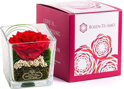 Rosen-Te-Amo | Premium konservierte ewige rote Rose | duftend | handgefertigt mit echten Deko-Foliag