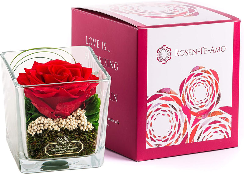 Rosen-Te-Amo | Premium konservierte ewige rote Rose | duftend | handgefertigt mit echten Deko-Foliag