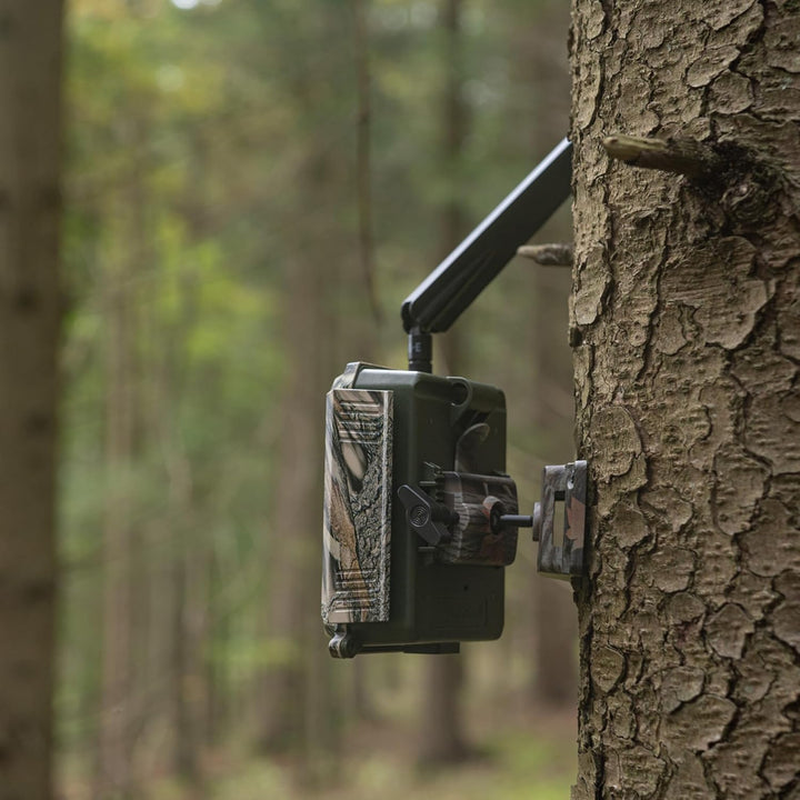 DÖRR Snapshot Cloud Pro 60° - Easy Assembly Solar Set - 4G LTE Wildkamera - Überwachungskamera - APP