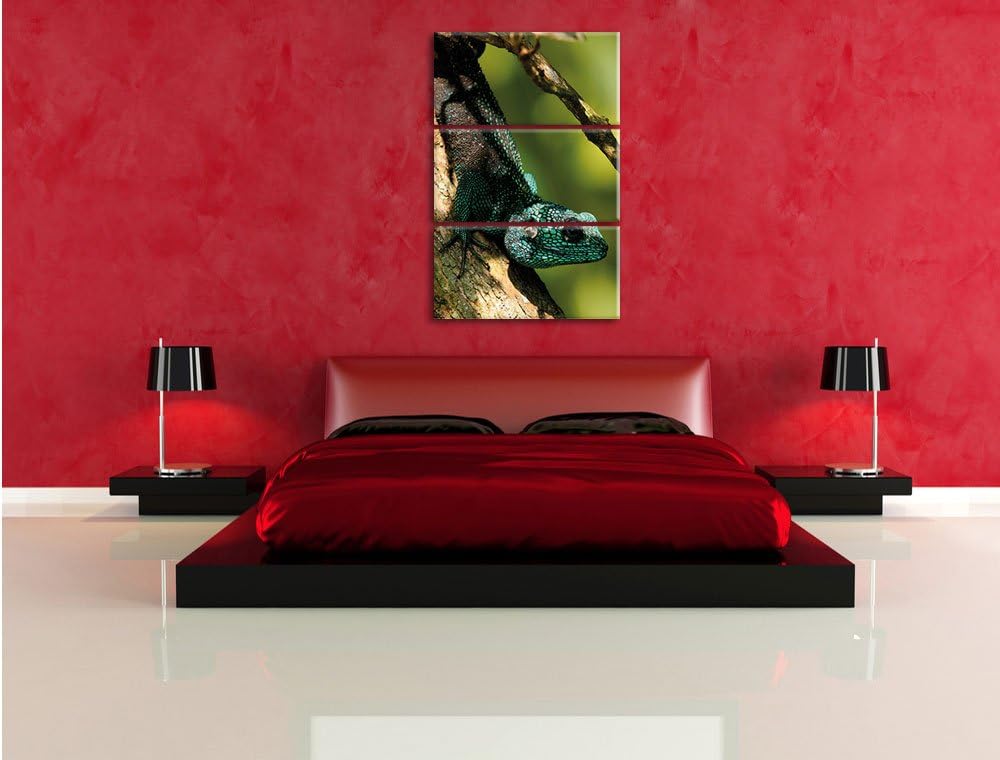 Pixxprint Agama auf Baum AST als Leinwandbild/Grösse: 3 Teilig (120x80) cm/Wandbild/Kunstdruck/ferti