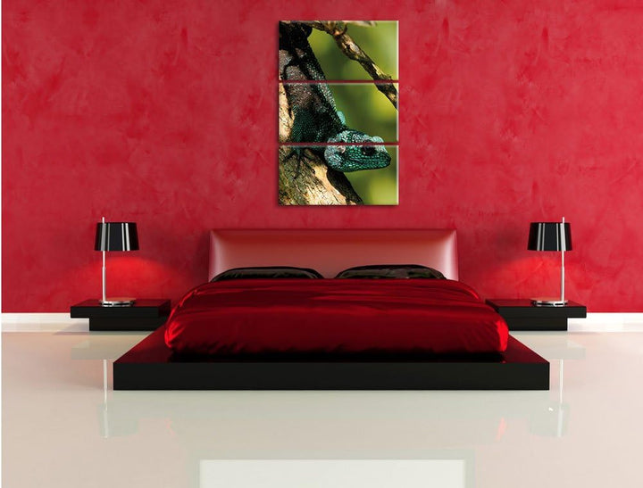 Pixxprint Agama auf Baum AST als Leinwandbild/Grösse: 3 Teilig (120x80) cm/Wandbild/Kunstdruck/ferti