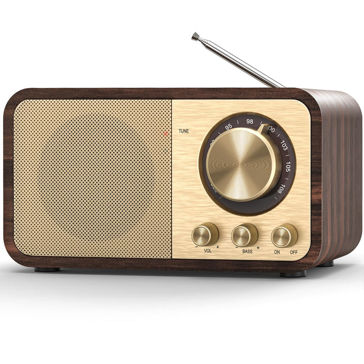 Nostalgie Radio, Retro Radio mit Bluetooth, TF Karten Slot, 2000mAH Wiederaufladbare Batterie, 5 Wat