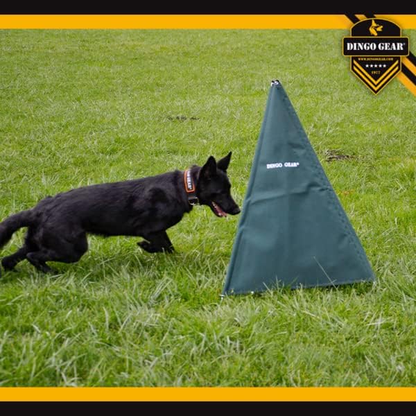 Dingo Gear Schutzdienstverstecke für Hundetraining IGP-Training, Höhe 100 cm Grün S02914, Grün
