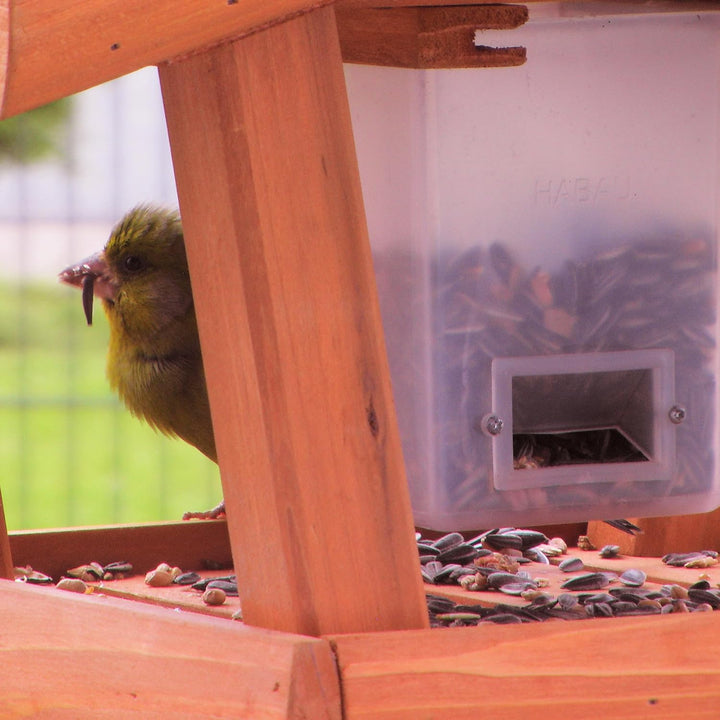 HABAU Vogelhaus Singdrossel aus Holz - Futterhaus zum Aufhängen mit Futtersilo