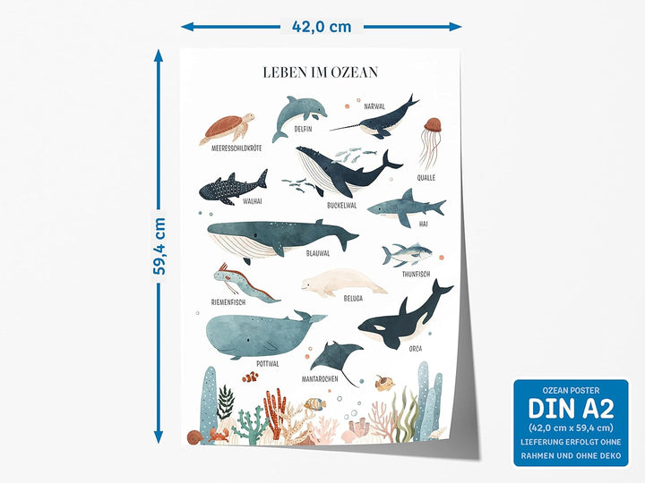 kizibi® Unterwasserwelt Lernposter für Kinderzimmer - Detailliertes DIN A2 Poster des Meeres & Ozean