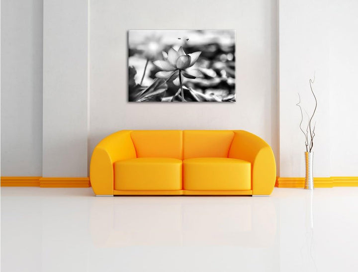 Pixxprint Lotus im Abendlicht / 100x70cm Leinwandbild bespannt auf Holzrahmen/Wandbild Kunstdruck De