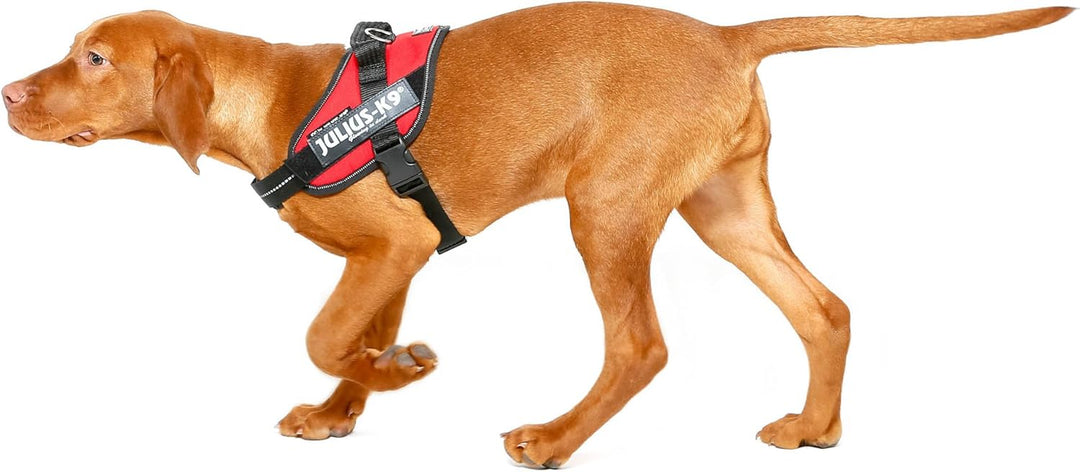 Julius-K9 IDC Powerharness für Hunde mit zwei kostenlosen individuellen Patches, rot Mini-Mini XS/Mi