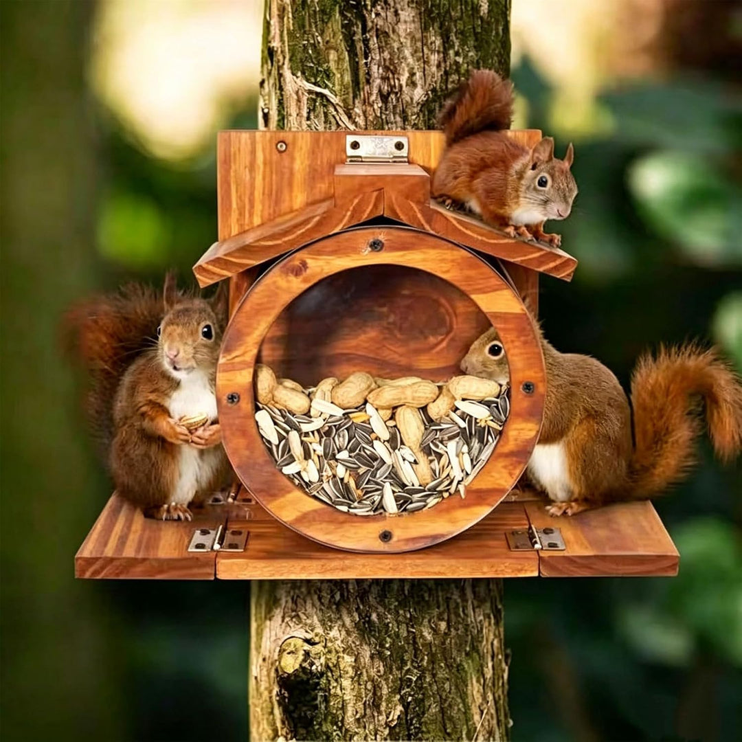 Robuster eichhörnchen futterhaus Wetterfestes Holzdach eichhörnchen kobel mit rundem transparentem F