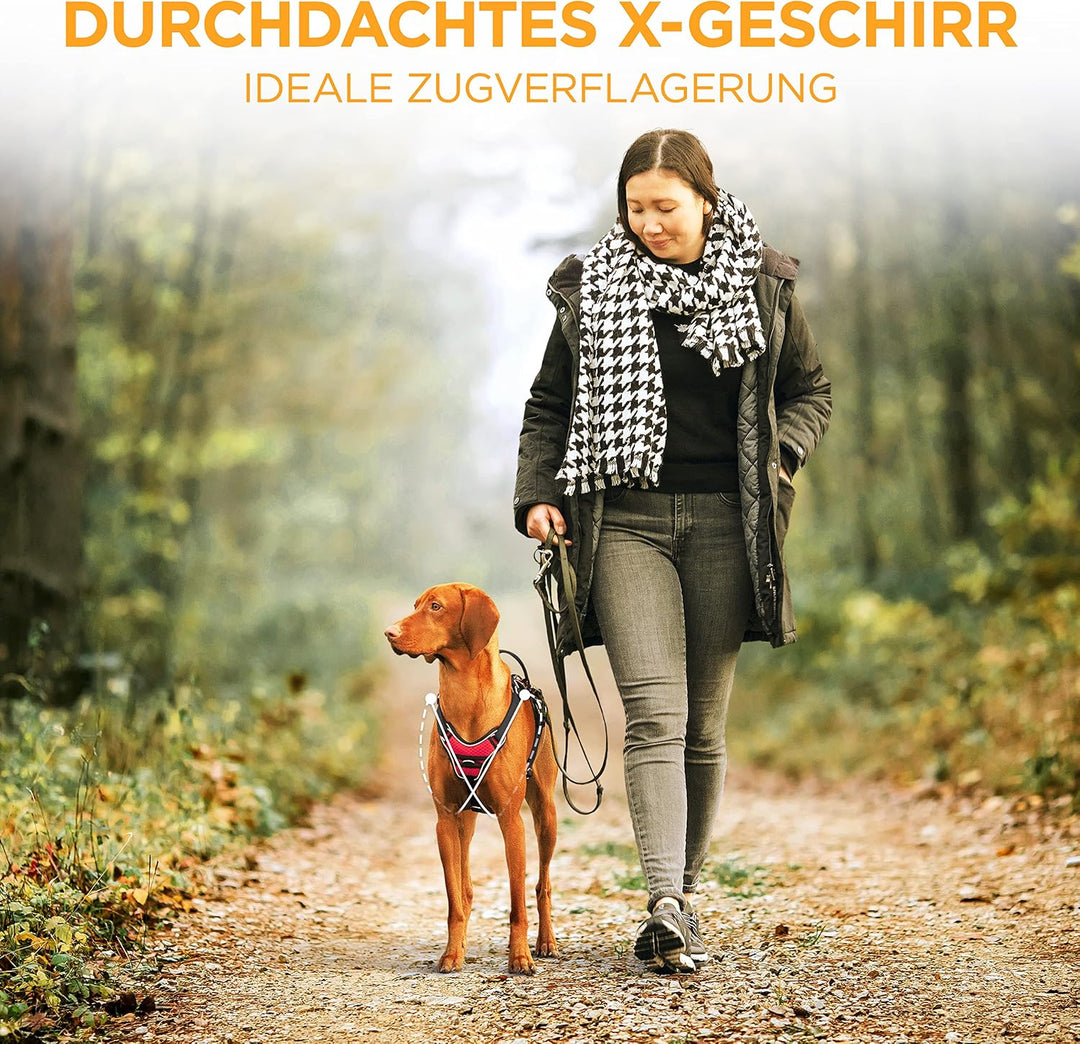 Hundegeschirr - Reflektierendes Hundegeschirr für kleine bis grosse Hunde - Anti Zug Hundegeschirr g