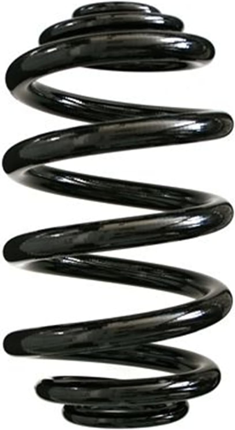 SPIDAN 85549 Fahrwerksfeder