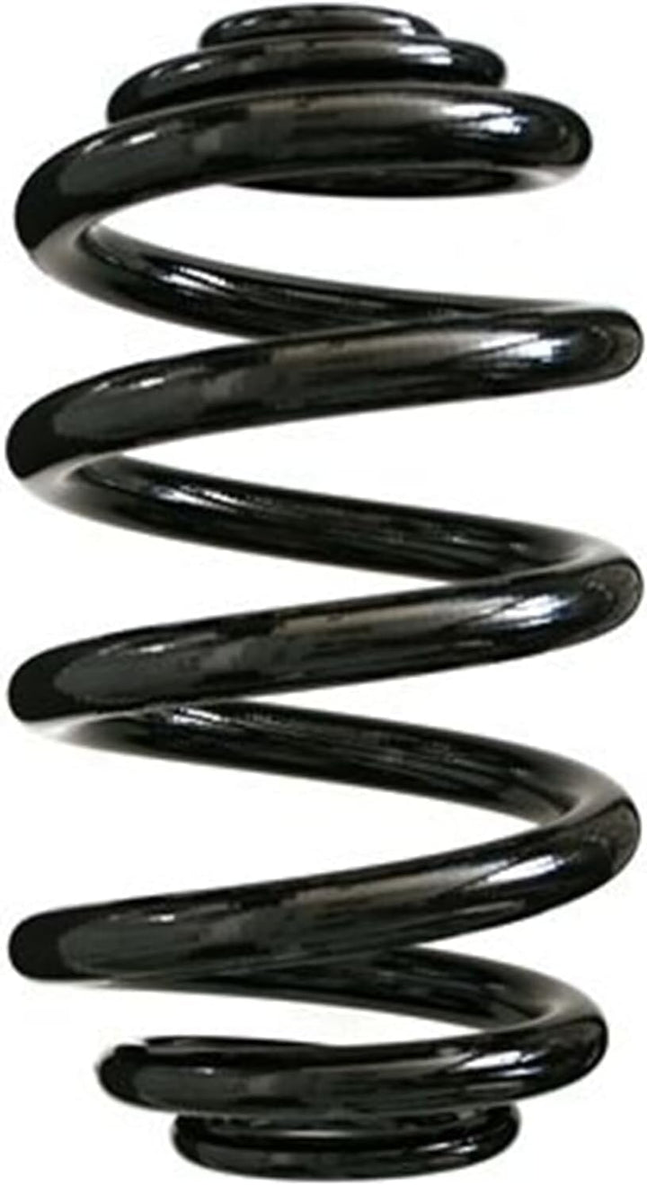 SPIDAN 85549 Fahrwerksfeder