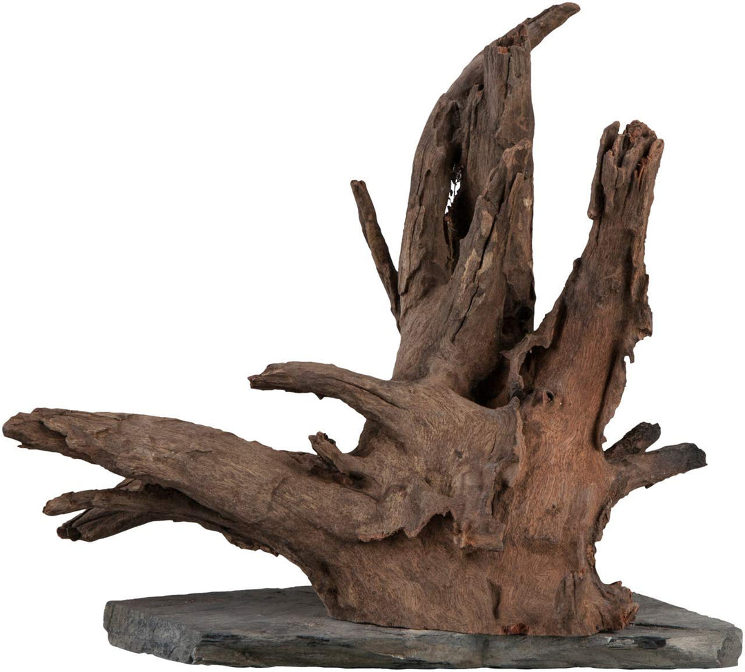 sera Scaper Wood L 30 - 35 cm - Kompaktes Wurzelholz auf Schieferplatte in zwei Grössen L (Stück von
