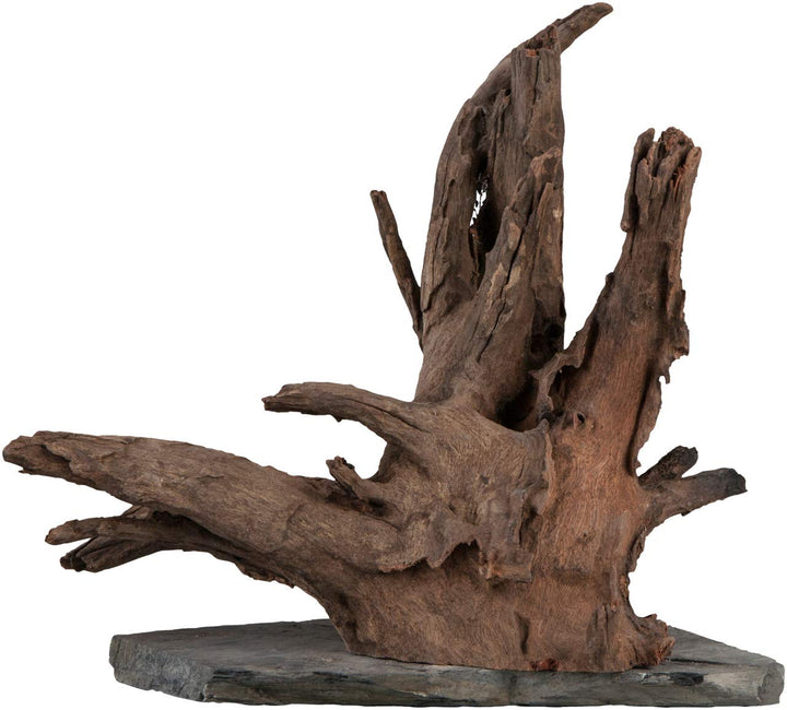 sera Scaper Wood L 30 - 35 cm - Kompaktes Wurzelholz auf Schieferplatte in zwei Grössen L (Stück von