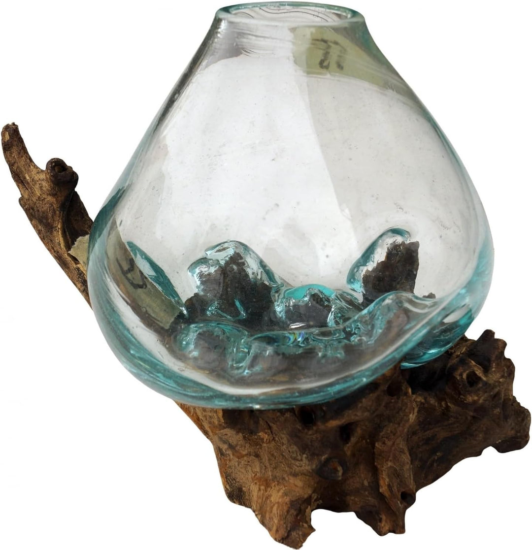 GURU SHOP Wurzelholz Vase - Ø Glas bis 15 cm, Ø Glas Bis 15 Cm