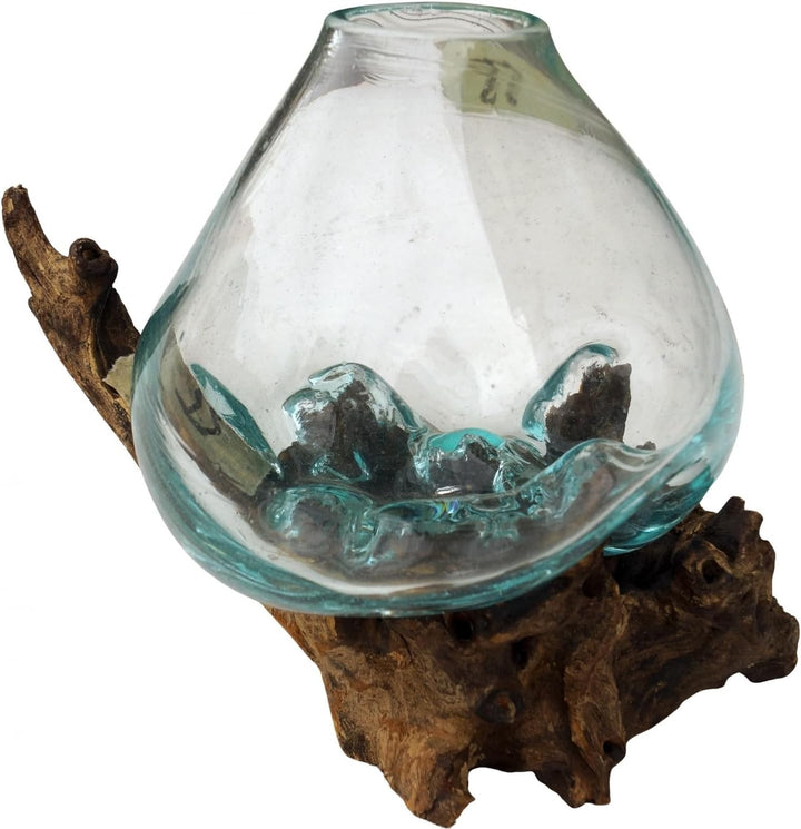 GURU SHOP Wurzelholz Vase - Ø Glas bis 15 cm, Ø Glas Bis 15 Cm