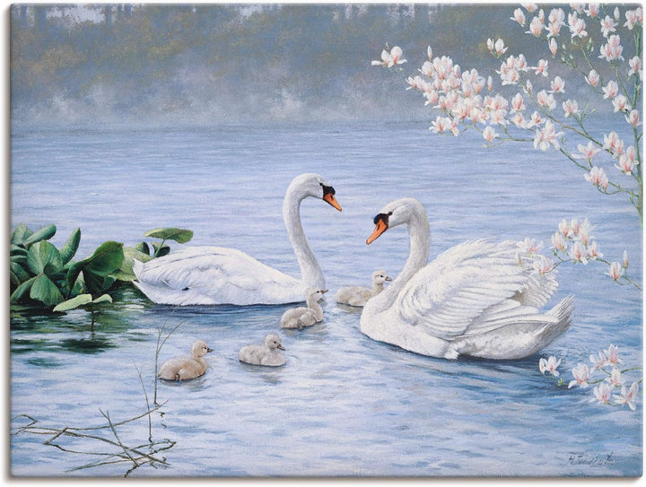 ARTland Leinwandbilder Wandbild Bild auf Leinwand 60x45 cm Wanddeko Schwan Tiere Vögel Schwanfamilie
