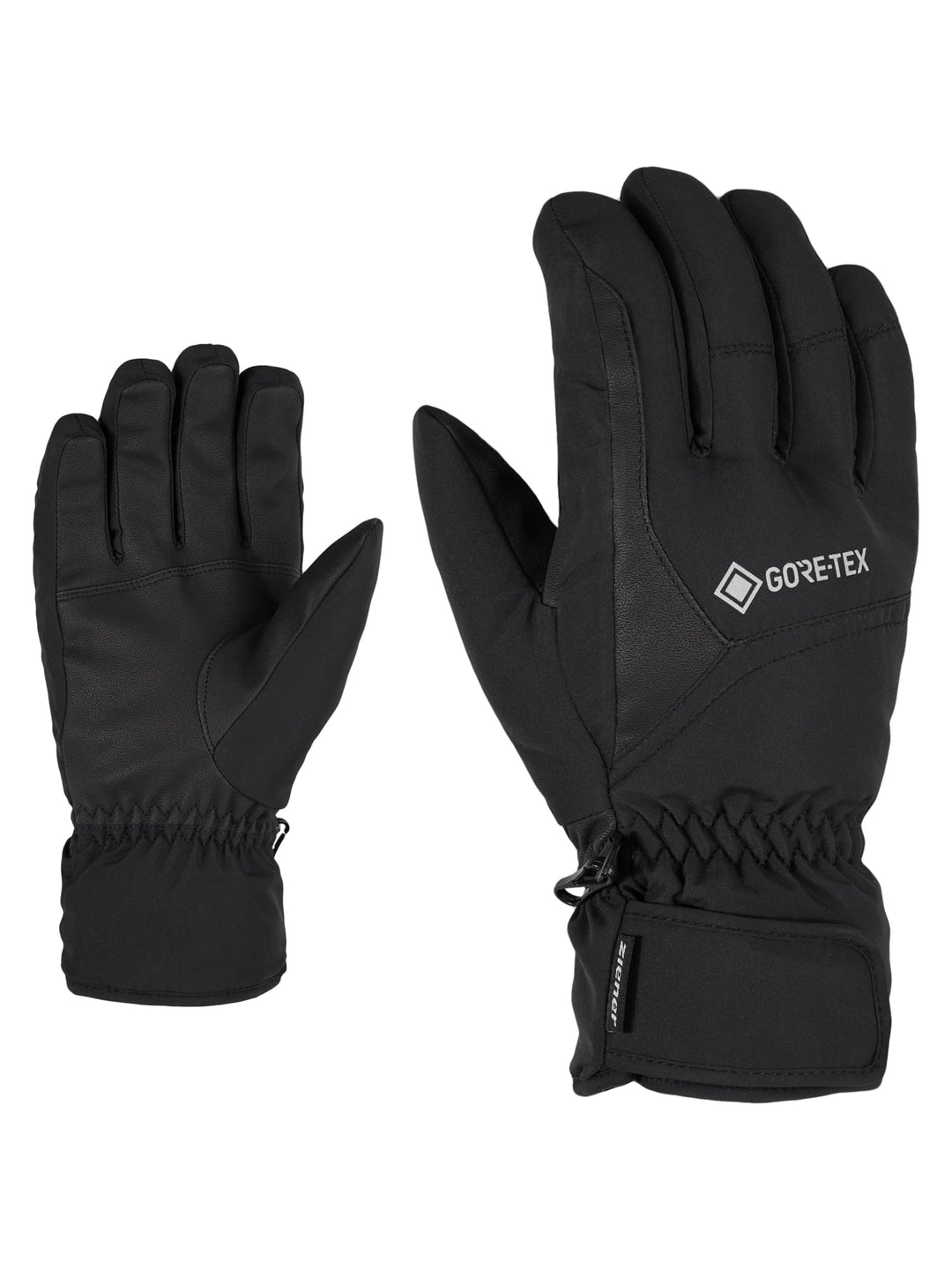 Ziener Garwen GTX Ski-Handschuhe/Wintersport | Wasserdicht, Atmungsaktiv, Gore-tex 10 Schwarz, 10 Sc