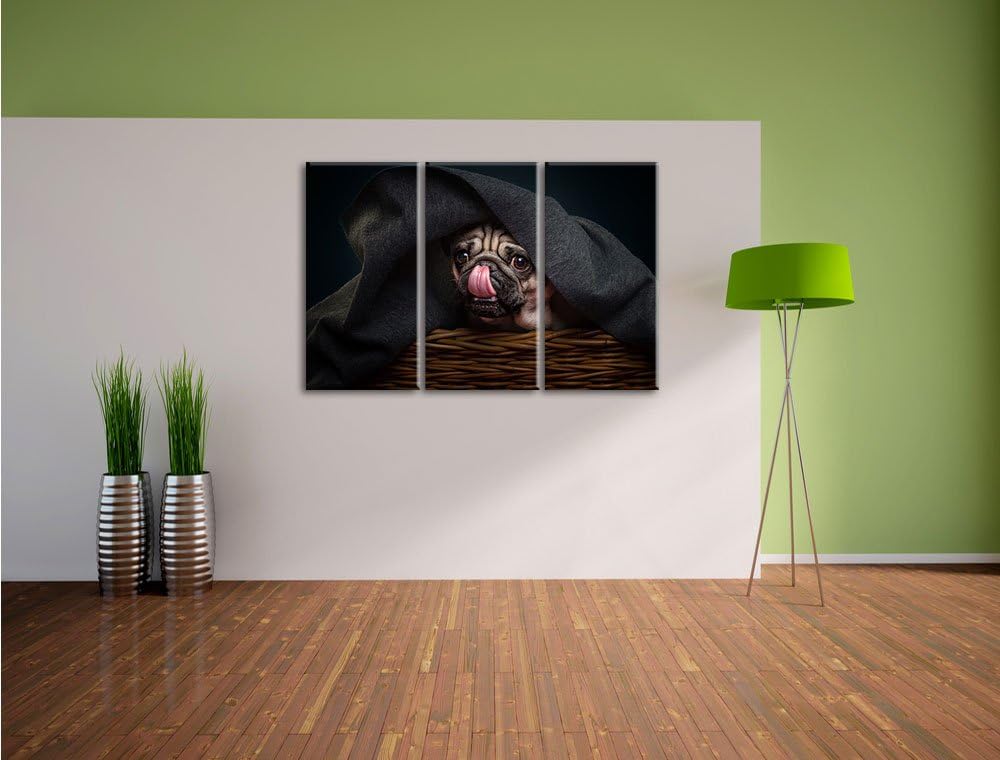 Pixxprint Süsser Mops unter der Decke als Leinwandbild/Grösse: 3 Teilig (120x80) / Wandbild/Kunstdru