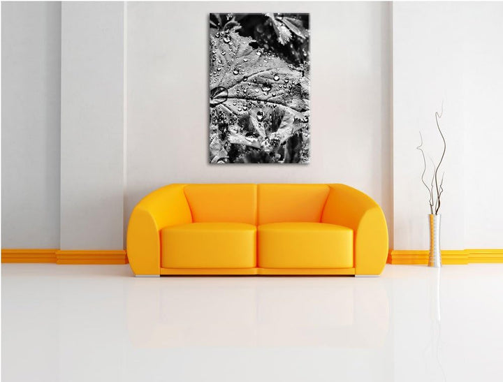 Pixxprint Monocrome, Wassertropfen auf Blatt, Format: 100x70 auf Leinwand, 100x70