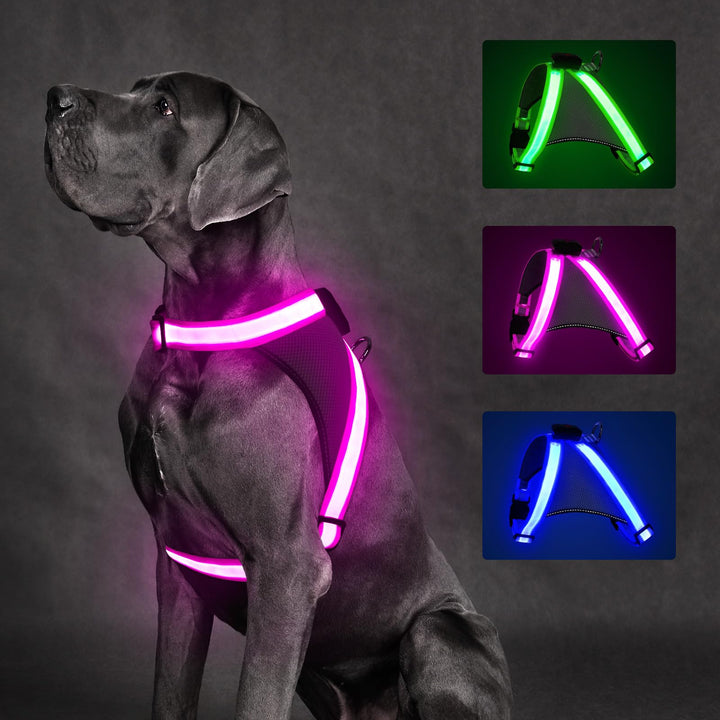 ChalkLit LED Leuchtendes Hundegeschirr USB Wiederaufladbares Vollständig Beleuchtetes Hundegeschirr