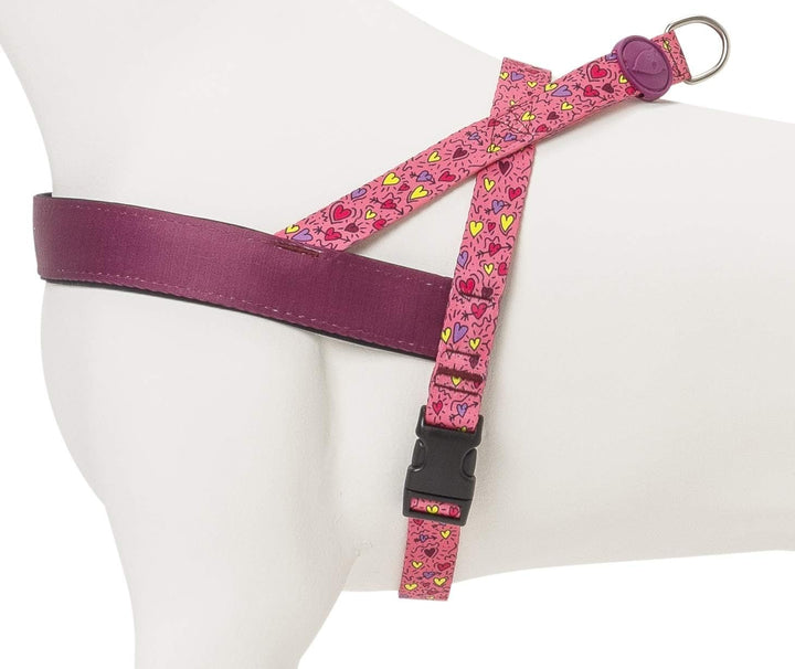 MORSO 7037 Norweger Hundegeschirr, M, M