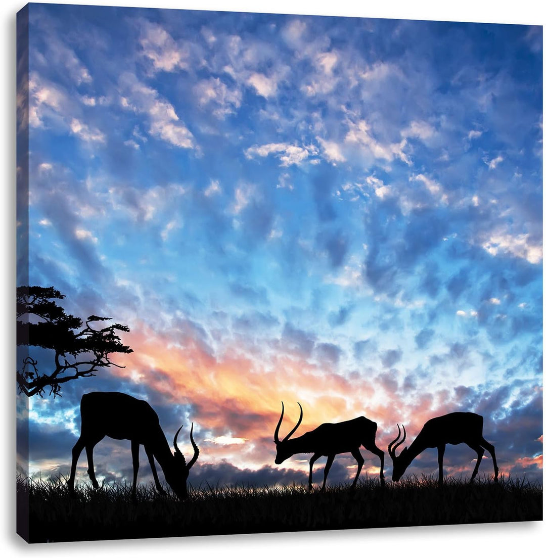 Pixxprint Tiere in der Natur am Abend als Leinwandbild/Grösse: 70x70 cm/Wandbild/Kunstdruck/fertig b