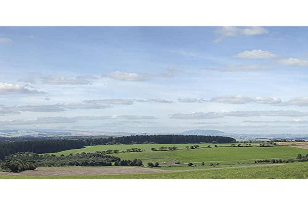 Auhagen 42515 42515-Hintergrund Erzgebirge 3, H0/TT/N, bunt