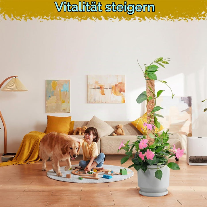 4 Stück 40CM Monstera Rankhilfe Moosstab Pflanzenstütze, Pflanzenstab für Monstera, Handmade Coco Co