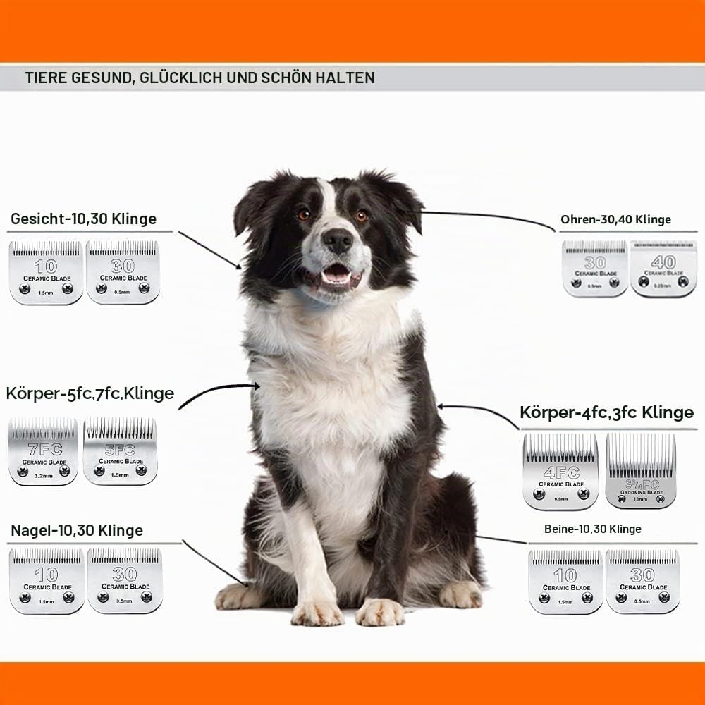Ersatzklingen für Hundepflege, kompatibel mit Andis-, Oster- und Wahl-Schermaschinen (5FC), 5FC