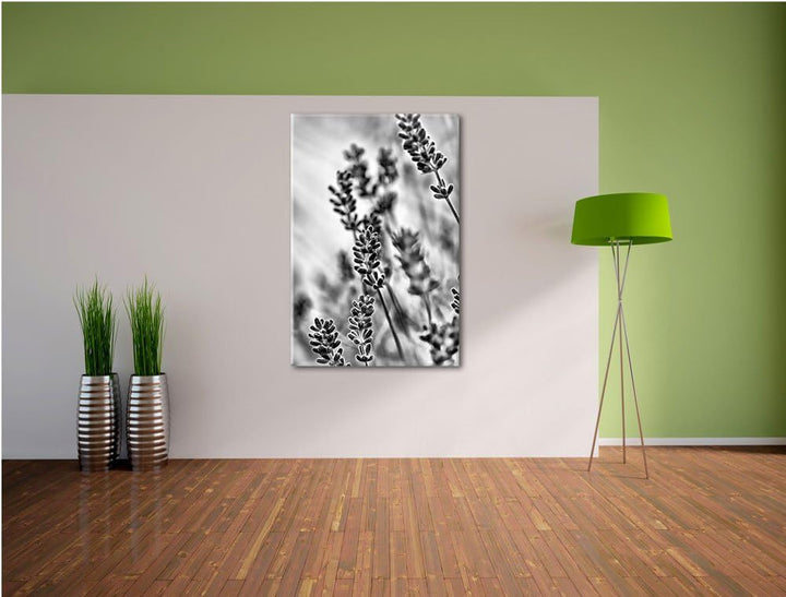 Monocrome, Lavendel , Format: 100x70 auf Leinwand, XXL riesige Bilder fertig gerahmt mit Keilrahmen,