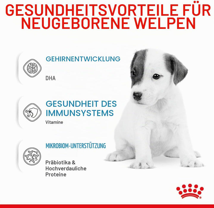 Royal Canin Babydog Milk | 2000 g | Welpen Milch in Pulverform | Zur Unterstützung des Verdauungssys