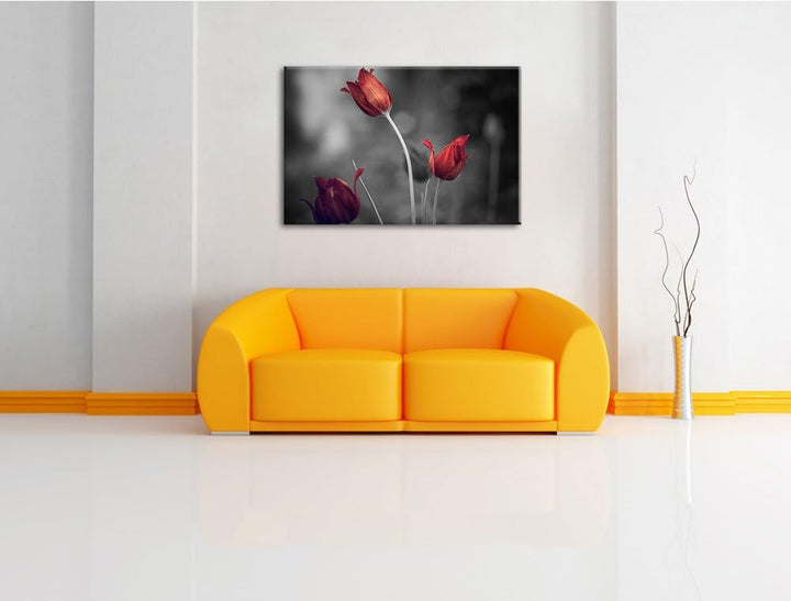 schöne Tulpen schwarz/weiss Format: 100x70 auf Leinwand, XXL riesige Bilder fertig gerahmt mit Keilr