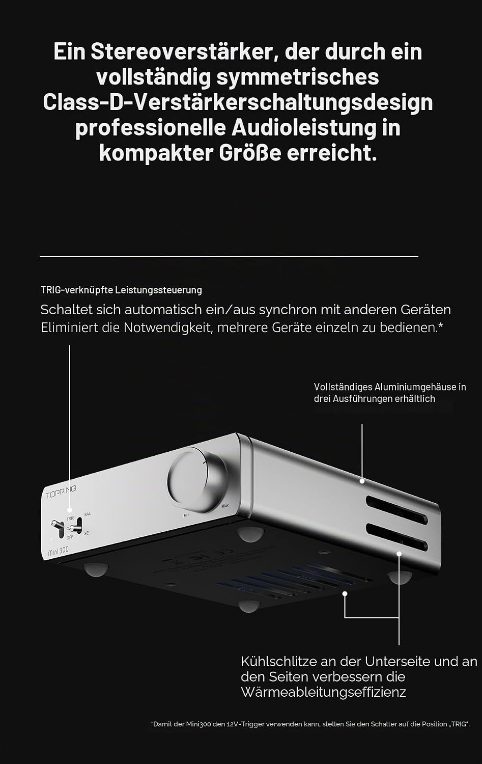 Topping Mini 300 Kompakter Desktop-Leistungsverstärker – Vollständig Symmetrischer Class-D-Verstärke