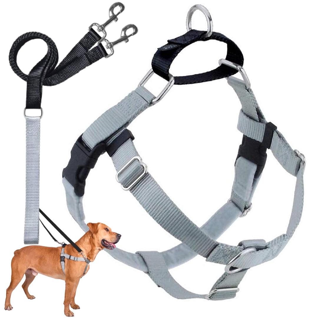 2 Hounds Design 818557021641 No-Pull Dog Harness with LeashMedium (5/8 Zoll Wide) MSilver M Silver,