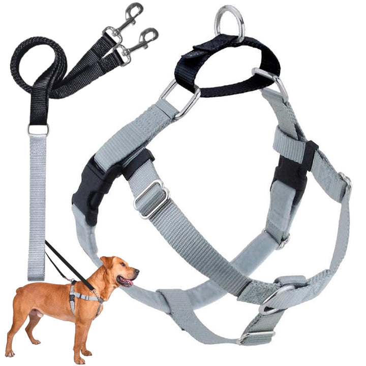 2 Hounds Design 818557021641 No-Pull Dog Harness with LeashMedium (5/8 Zoll Wide) MSilver M Silver,