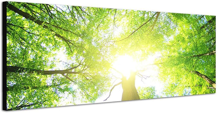 Paul Sinus Art Panoramabild auf Leinwand und Keilrahmen 150x50cm Wald Baumkronen Frühling Sonnenstra